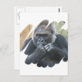 Carte postale Gorilla Primate (Devant / Derrière)