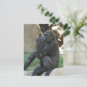 Carte postale Gorilla réfléchie (Debout devant)