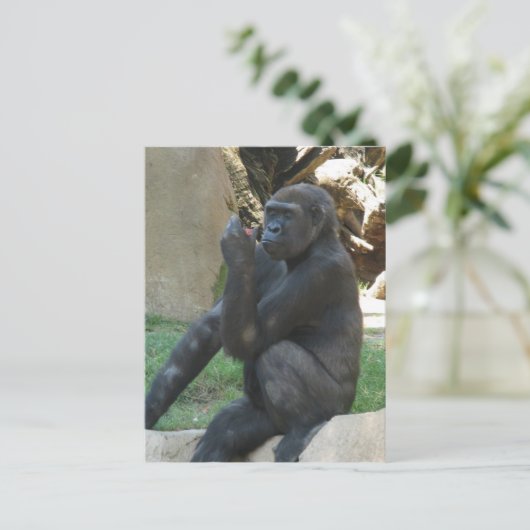 Carte postale Gorilla réfléchie (Debout devant)