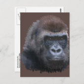 Carte Postale Gorilla Silverback (Devant / Derrière)