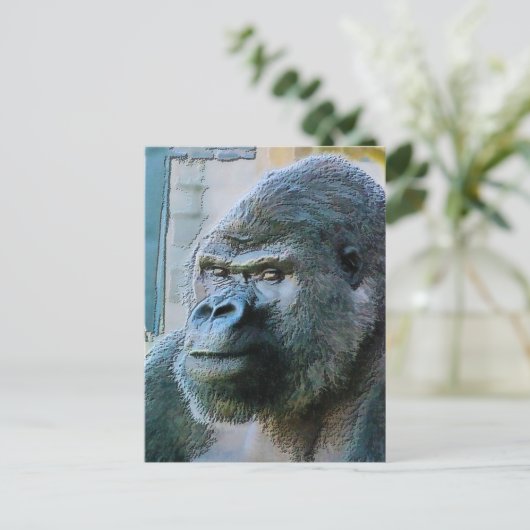 CARTE POSTALE GORILLAS (Debout devant)