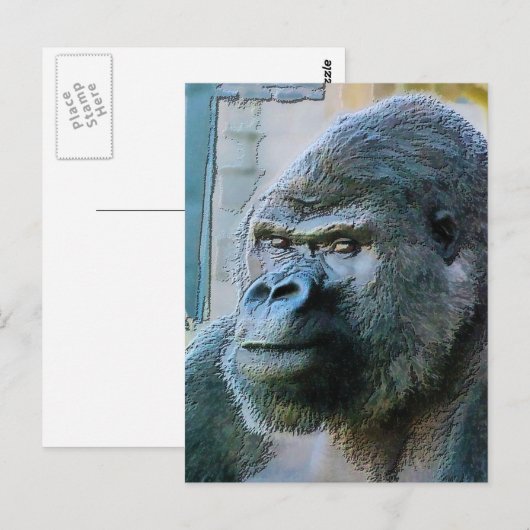 CARTE POSTALE GORILLAS (Devant / Derrière)