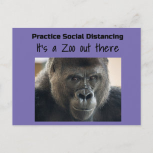 Carte Postale Gorillas in the Midst Corona Riot by Funnycomb
