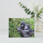 Carte postale Gorillas-Rwanda (Debout devant)