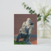 Carte Postale Gorille Assis Sur Un Rocher (Debout devant)