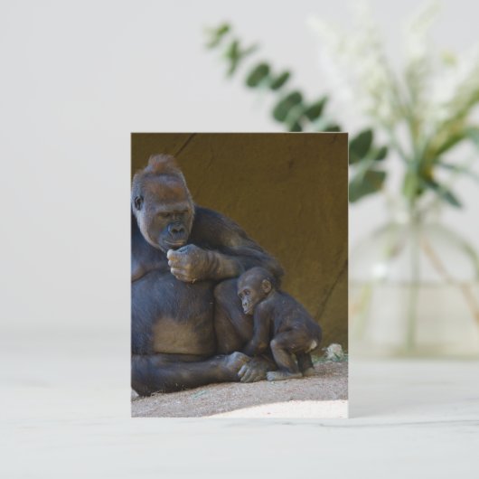 Carte Postale Gorille de bébé (Debout devant)