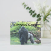 Carte Postale Gorille de Silverback # 4 (Debout devant)