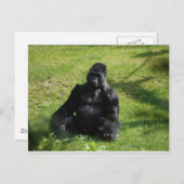 Carte Postale Gorille de singe noir doux (Devant / Derrière)