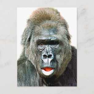 CARTE POSTALE GORILLE DRÔLE MIGNON