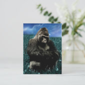 Carte Postale Gorille fractale dans le pré (Debout devant)