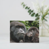 Carte Postale Gorille ougandais de mère et de bébé (Debout devant)