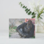 Carte Postale Gorille relaxante (Debout devant)
