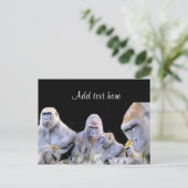 Carte Postale Gorilles & Chimpanzés_ (Debout devant)