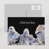 Carte Postale Gorilles & Chimpanzés_ (Devant / Derrière)