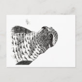 CARTE POSTALE GOSHAWK (Devant)