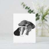 Carte Postale Goshawk du Nord (Debout devant)