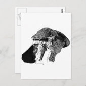 Carte Postale Goshawk du Nord (Devant / Derrière)