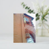 Carte Postale Goslar, Butterhanne (Debout devant)