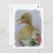 Carte Postale Gosling (Devant / Derrière)