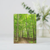 Carte Postale Gosnell Big Woods Webster, NY (Debout devant)