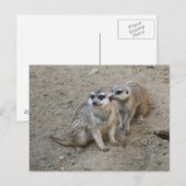 Carte postale Gossip (Devant / Derrière)