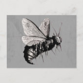 Carte Postale Gothique Aile du crâne d'abeille (Devant)