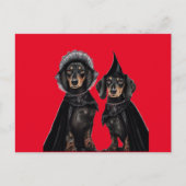 Carte Postale Gothique Dachshund Halloween (Devant)