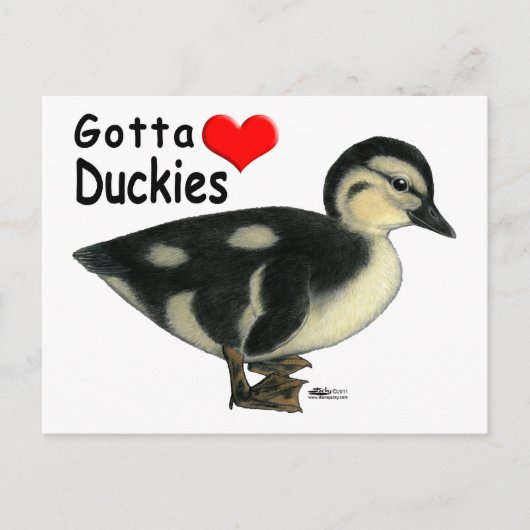 Carte Postale Gotta Love Duckies (Devant)