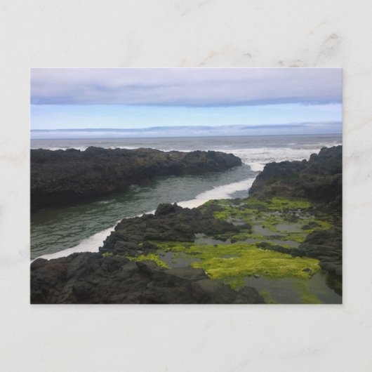 Carte Postale Gouffre de Cook, Cape Perpetua, Oregon (Devant)