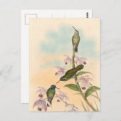Carte Postale Gould Hummingbirds et Orchidées (Devant / Derrière)