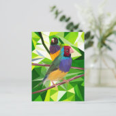 Carte Postale Gouldian Finch Duo (Debout devant)