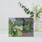 Carte Postale Gourdes (Debout devant)