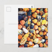 Carte Postale Gourdes colorées C (Devant / Derrière)