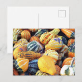 Carte Postale Gourdes colorées Gros plan (Devant / Derrière)