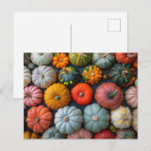 Carte Postale Gourdes et Squash Citrouille colorés (Devant / Derrière)