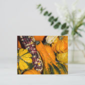 Carte Postale Gourds and Corn Fall Food Photographie (Debout devant)