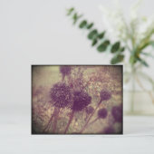 Carte Postale Gousses de graines de fleurs d'hiver (Debout devant)
