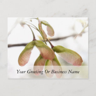 Carte Postale Gousses d'érable ailées