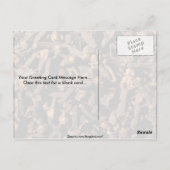 Carte Postale Gousses entières (Dos)