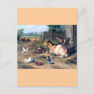 Carte Postale Goût de ferme enfants pigeons