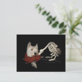 Carte Postale Goûts Comme Le Poulet, Vautour & Westie (Debout devant)