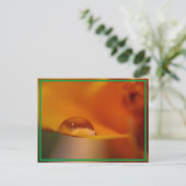 Carte Postale goutte de pluie (Debout devant)