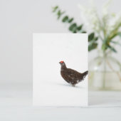 Carte Postale Goutte rouge (Debout devant)