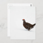 Carte Postale Goutte rouge (Devant / Derrière)