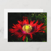 Carte Postale gouttes de pluie (Devant / Derrière)