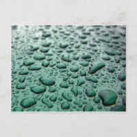 Gouttes de pluie