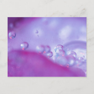 Carte Postale Gouttes de rosée sur un pétale de fleur abstrait.