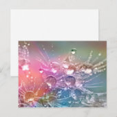 Carte Postale Gouttes d'eau (Devant / Derrière)