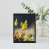 Carte Postale gouttes d'eau" (Debout devant)