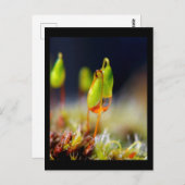 Carte Postale gouttes d'eau" (Devant / Derrière)